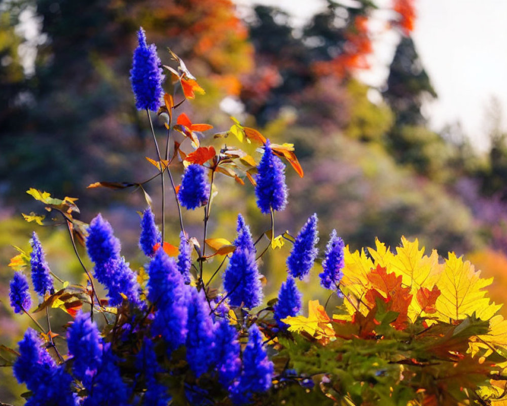 Vibrant Blue Flowers Against Blurred Autumn Leaves