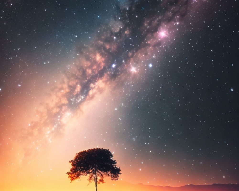 Lone tree under night sky with Milky Way and sunset gradient