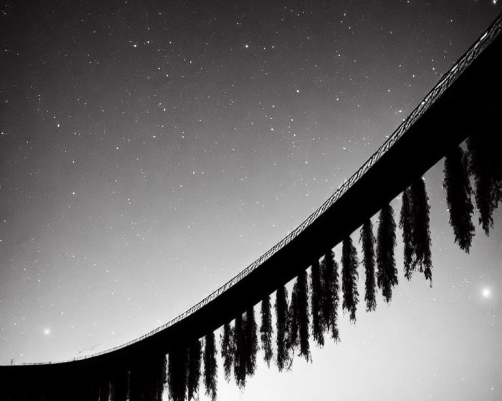 Silhouetted bridge under starry night sky with hanging vegetation