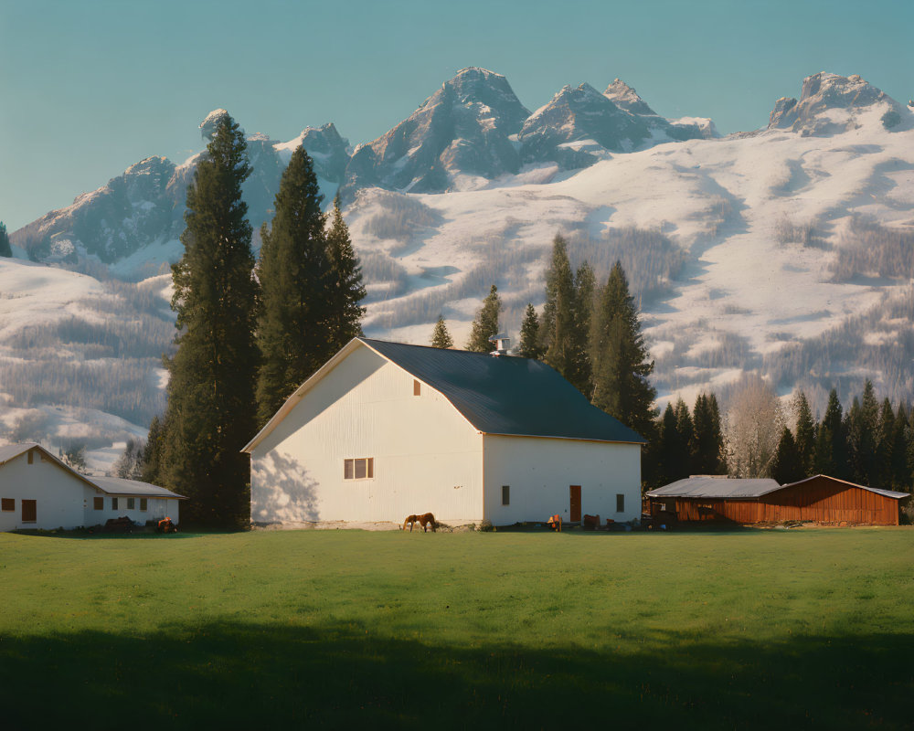 White barn, grazing horse, snow-capped mountains - pastoral scene on green meadow