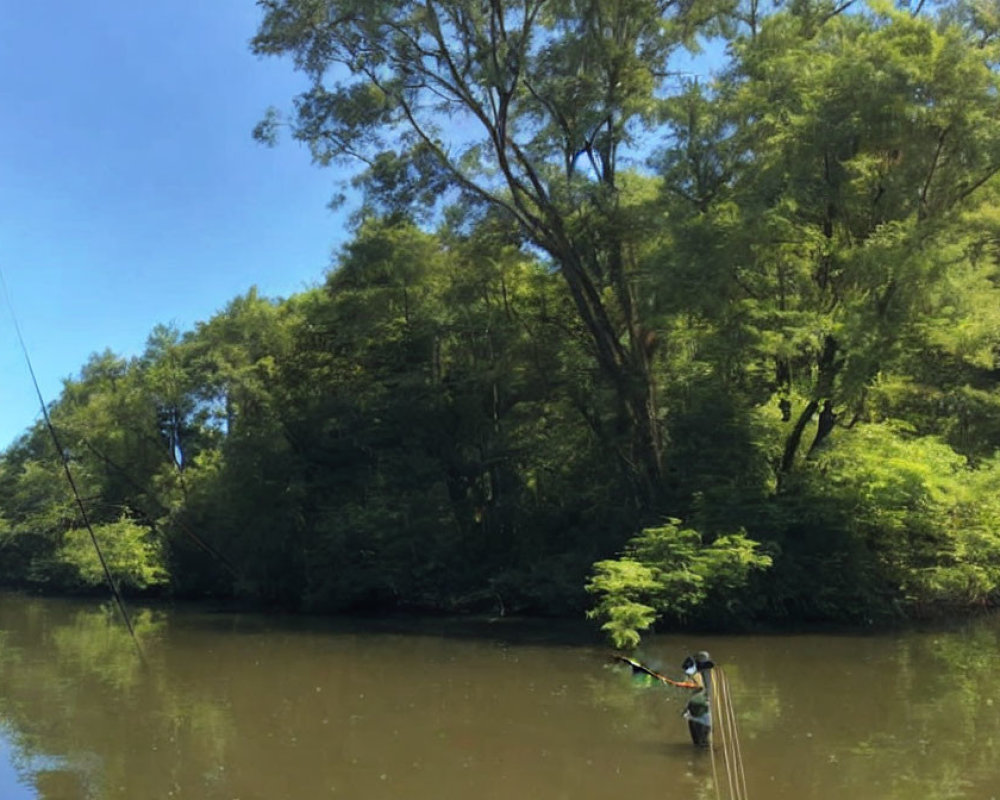 Person fishing on serene river in lush green setting