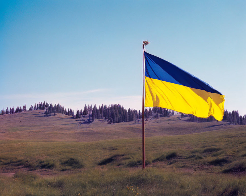 Blue and Yellow Flag Fluttering in Wind Over Serene Landscape