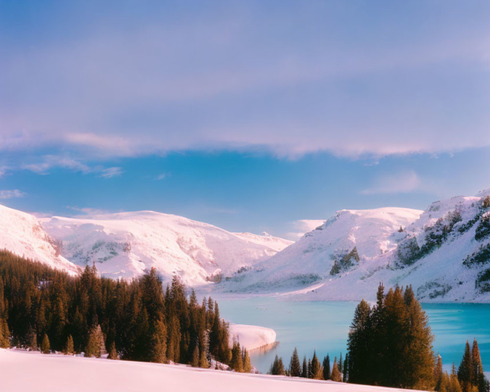 Snow-covered winter landscape with frozen lake, pine trees, and pink sky