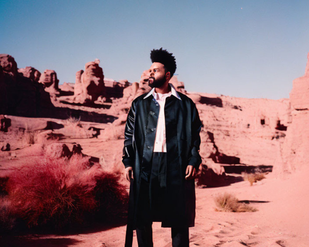 Man standing in desert landscape at twilight with rock formations and clear blue sky