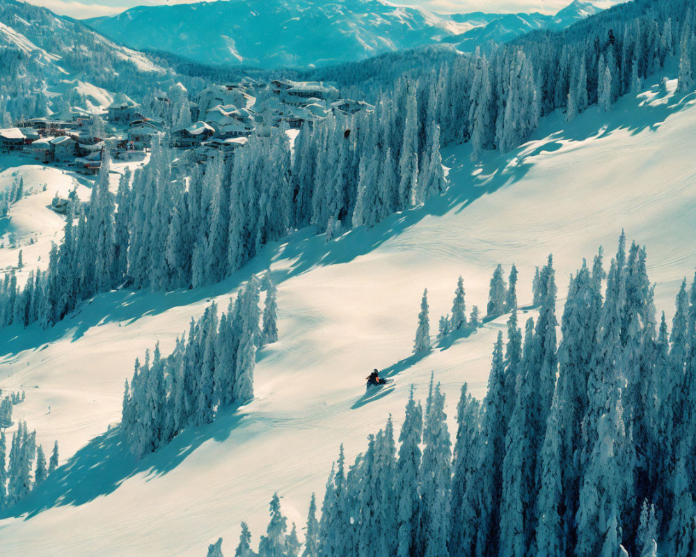 Snowy Mountain Slope Skier Amid Forest-Covered Hills