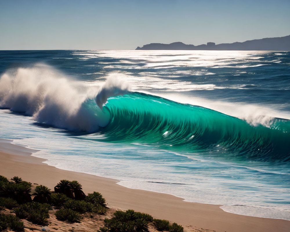 Tranquil beach scene with curling wave and coastal vegetation
