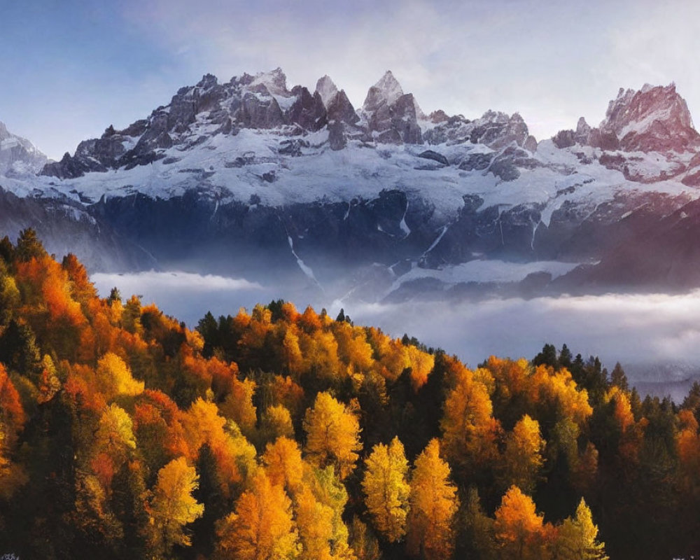 Golden-hued autumn trees with snow-capped mountains under cloudy sky