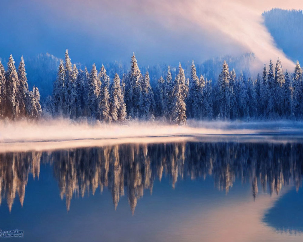 Snow-covered pine trees reflected in still lake at dawn