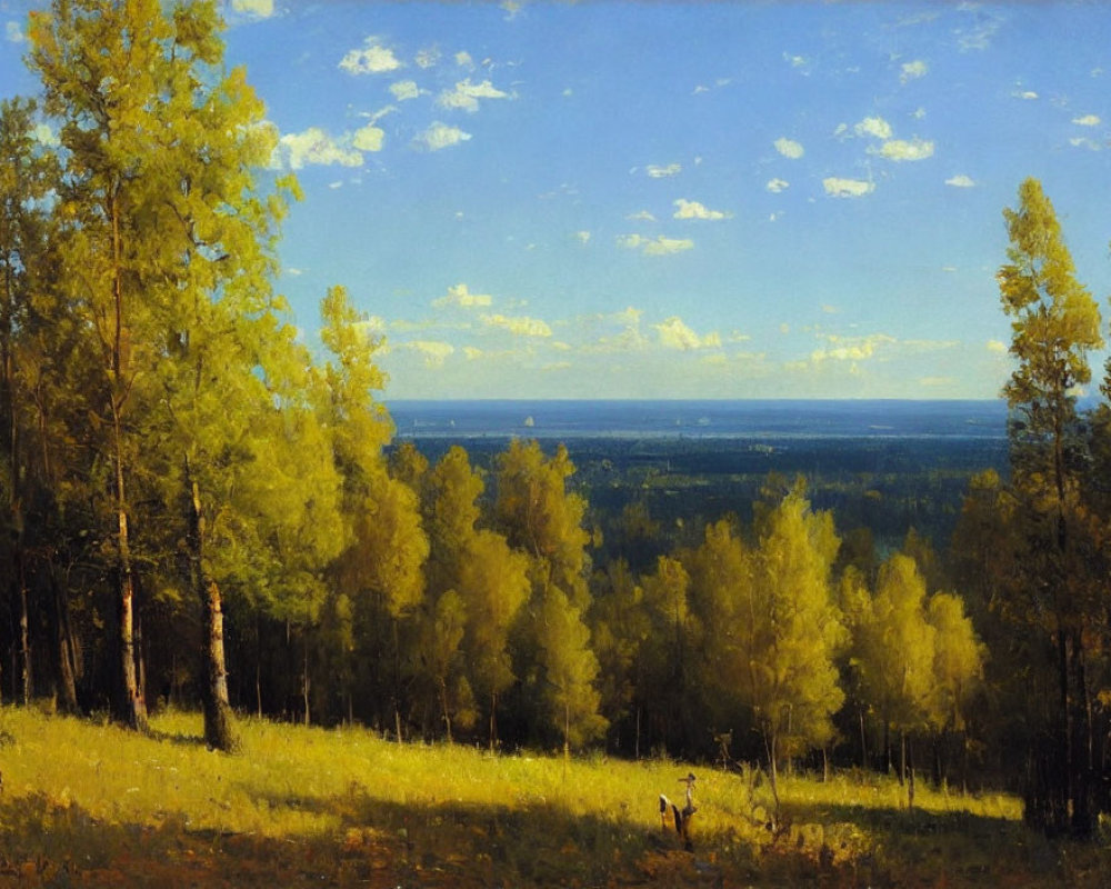 Tranquil sunlit forest clearing with tall trees and distant view