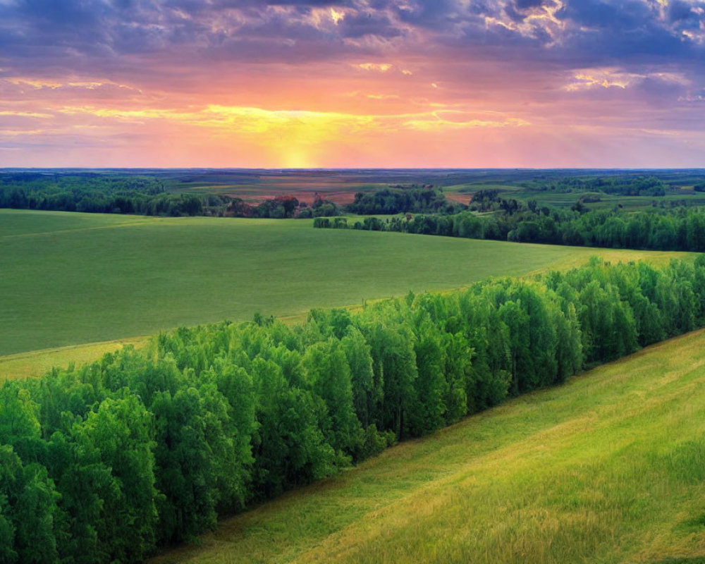 Vibrant sunset over lush green fields and trees