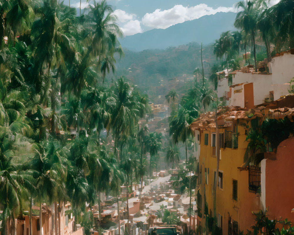 Sunny street with palm trees, historic buildings, and mountains in the background