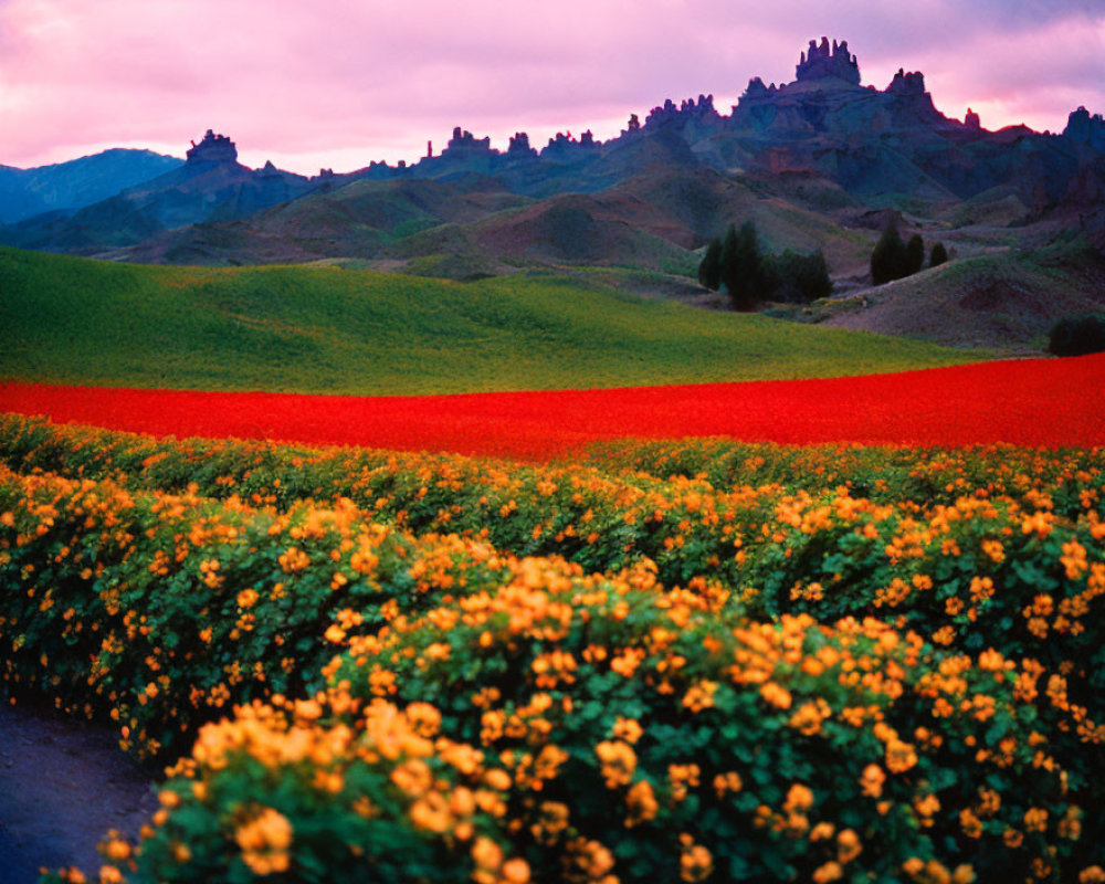 Colorful Flower Fields and Rolling Hills at Dusk with Silhouetted Rocky Outcrops