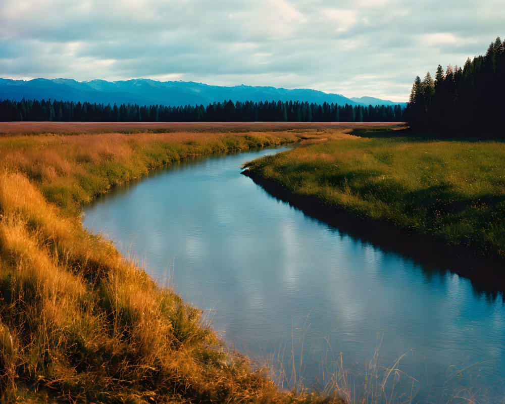 Tranquil river in lush meadow at sunset with forest and mountains