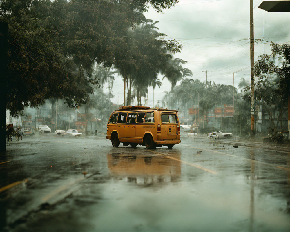 Yellow Bus on Rain-Soaked Street with Tropical Trees