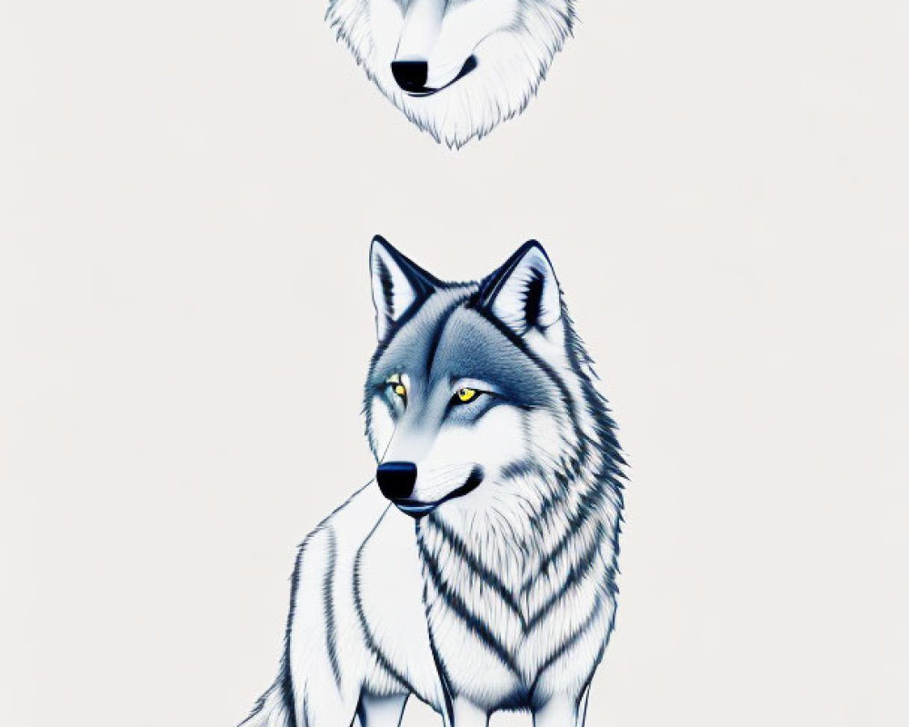 Detailed Grey Wolf Illustration with Piercing Eyes Standing Alert