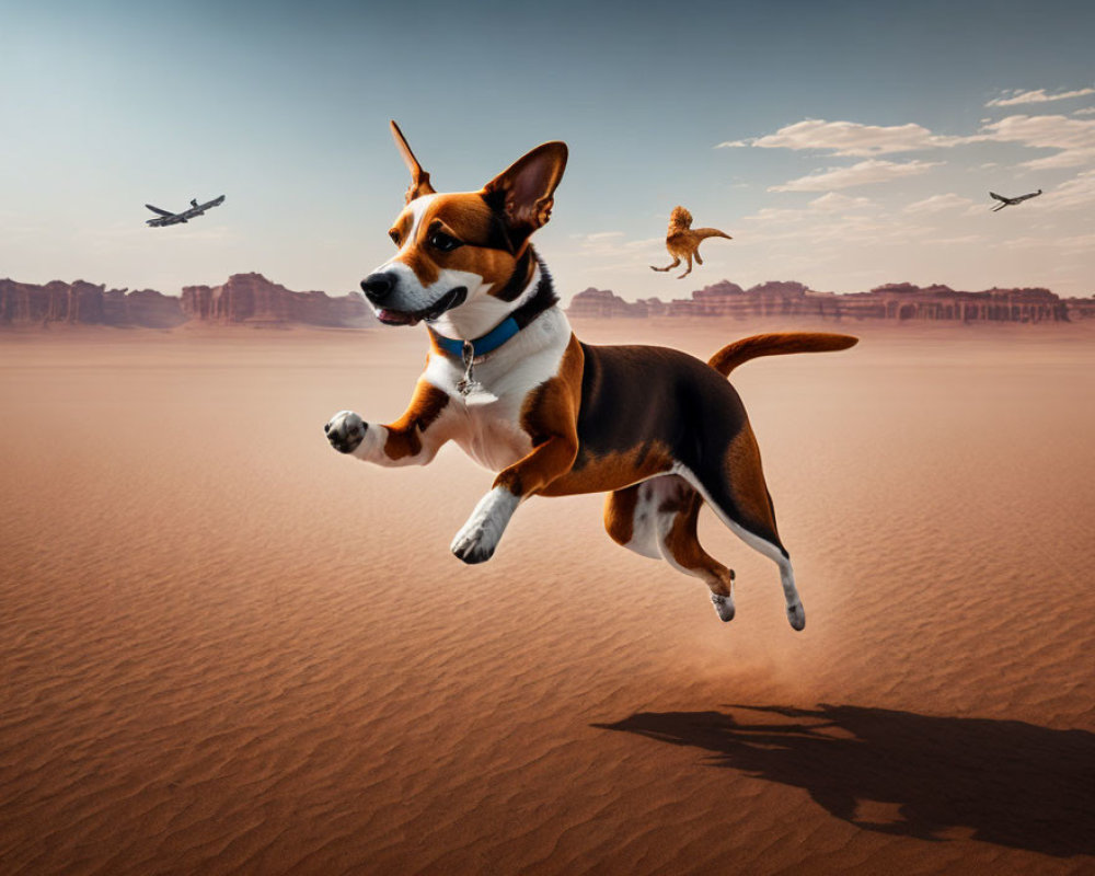 Beagle jumping in desert with airplane and squirrel in flight
