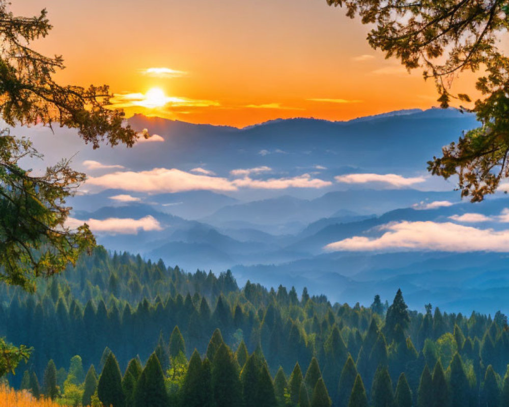 Scenic sunrise landscape with rolling hills, misty valleys, tree, meadow, and forest