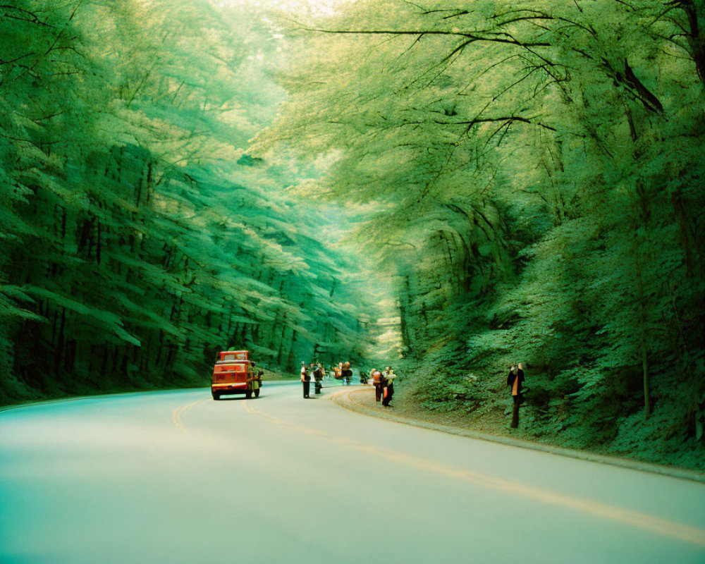 Tranquil road scene with green canopy, motorcyclists, red car, and pedestrian.