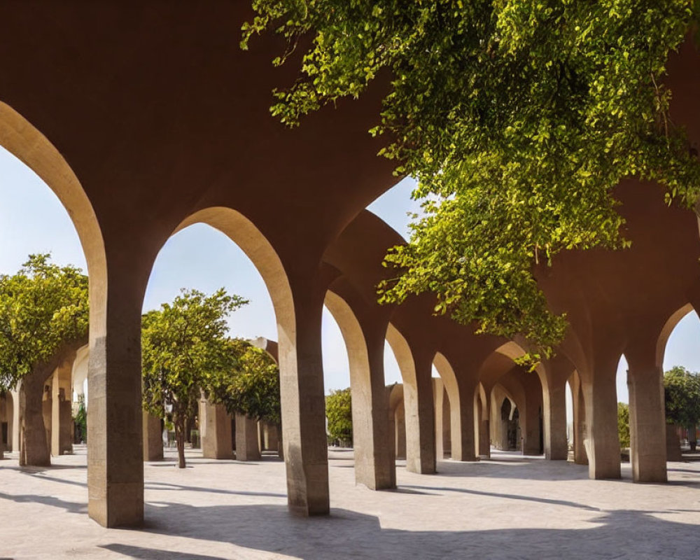 Courtyard with Arched Walkways, Columns, Trees, and Blue Sky