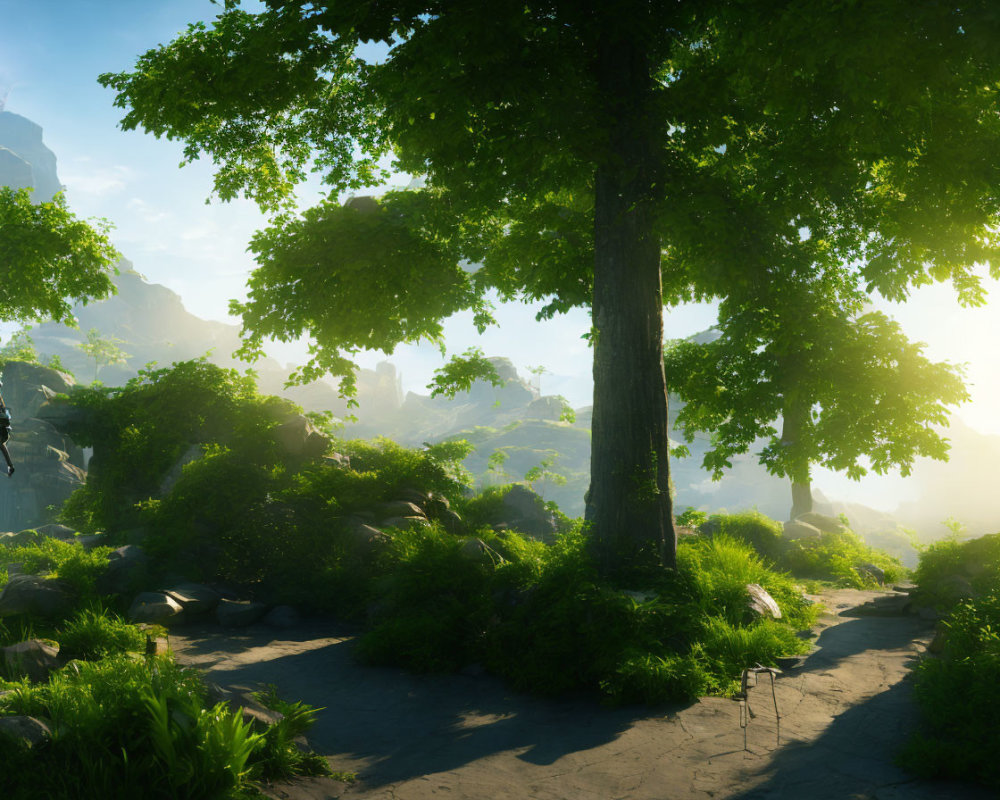 Lush tree in sunny forest clearing with rocks, green foliage, and misty mountains.