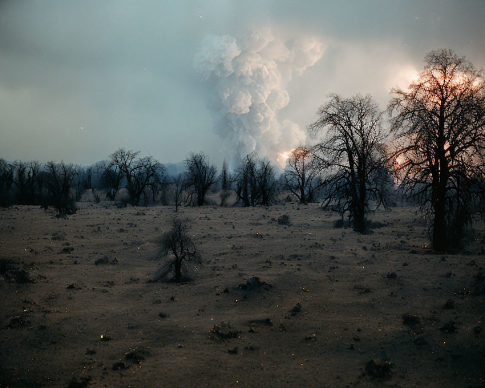 Bare trees in desolate landscape with distant smoke and fire glow