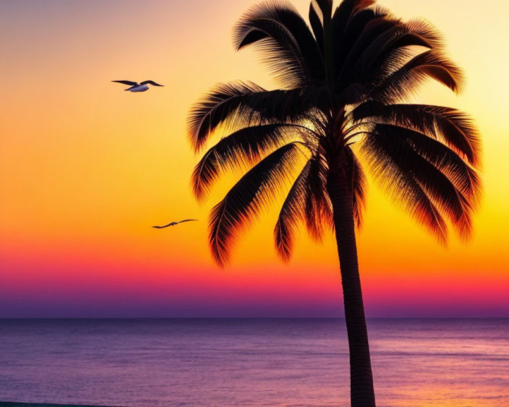 Palm tree silhouette at vibrant orange, yellow, and purple sunset over tranquil sea with flying birds