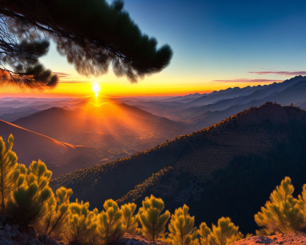 Mountain landscape at sunrise with sunbeams and silhouetted pine trees