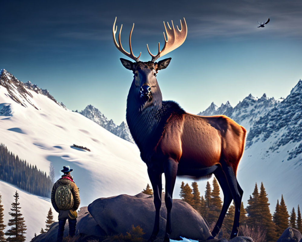 Majestic elk with large antlers on rocky outcrop overlooking snow-covered mountains.