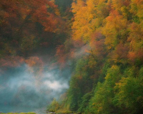 Misty River with Colorful Autumn Trees