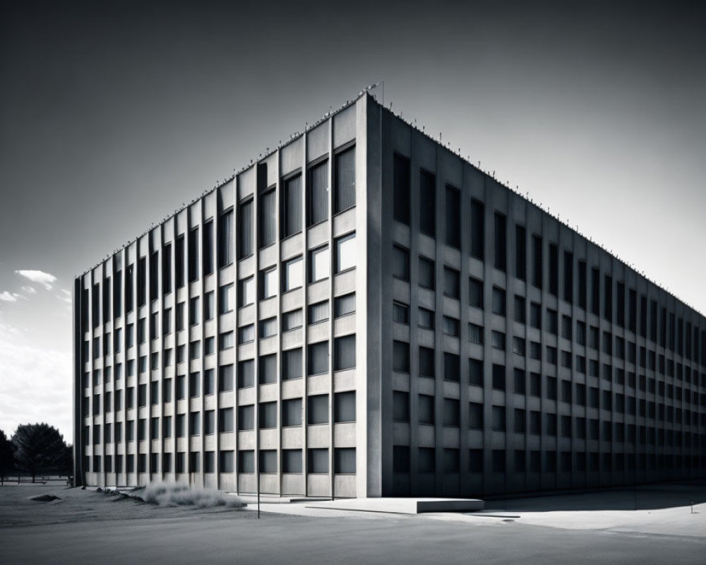 Modern Building with Geometric Facade in Black and White Photograph