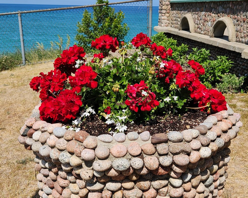 STONE PLANTER Deep Dream Generator